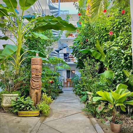 Kite House Cabarete Across Kite Beach Екстер'єр фото