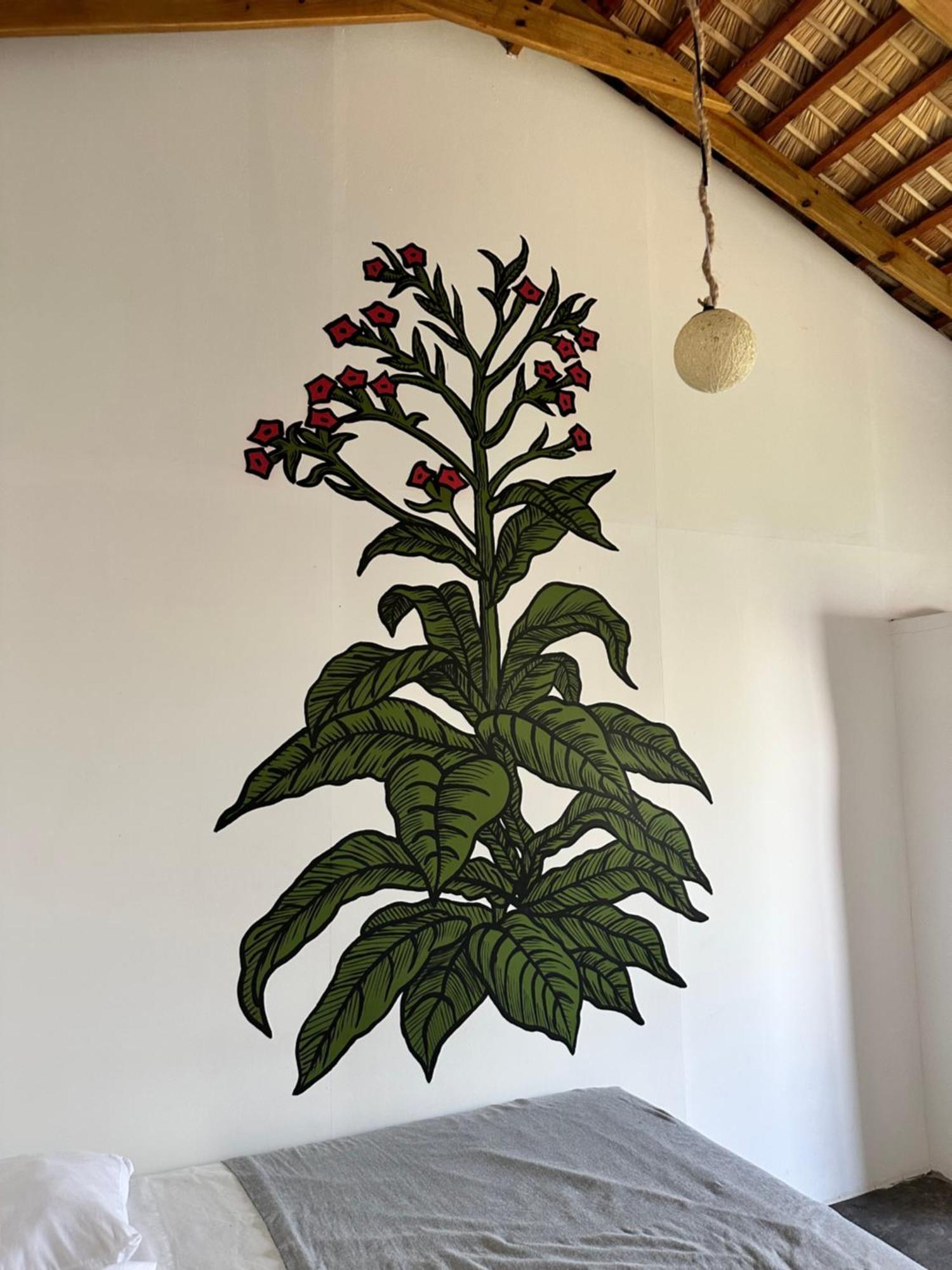Kite House Cabarete Across Kite Beach Екстер'єр фото