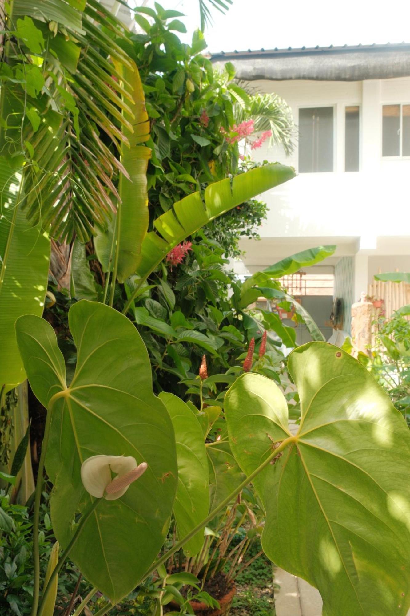 Kite House Cabarete Across Kite Beach Екстер'єр фото
